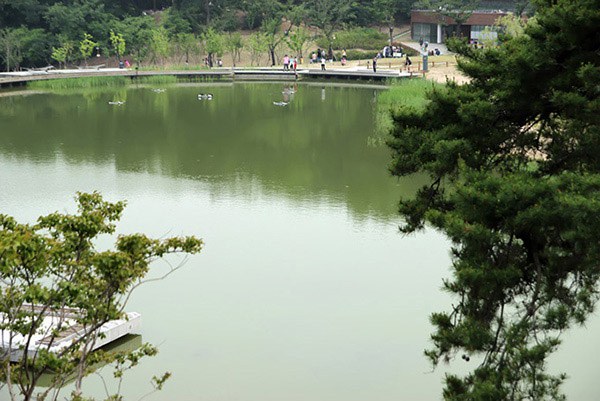알약 실행 오류 해결 후 PC 보안 점검 알약 실행 오류 해결 글에 사용된 원문 마무리 이미지