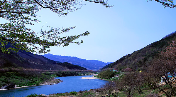 마이클 케냐 솔섬 사진과 대한항공의 저작권 논란을 보며 #2