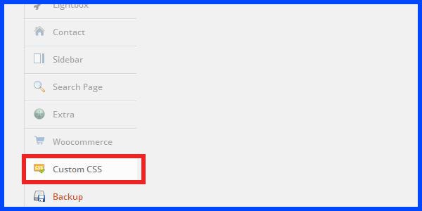 워드프레스 테마 Custom CSS padding / important