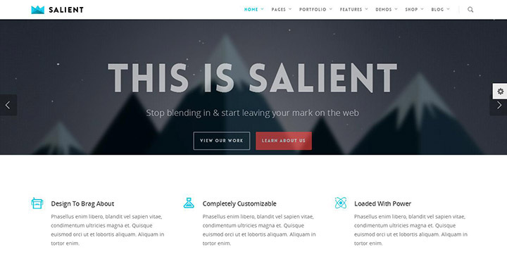 wordpress-theme-poplular-salient-theme-download-review-01
