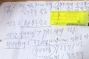8월 파종 작물, 가을파종작물 모음 / 재배법 특성 이미지