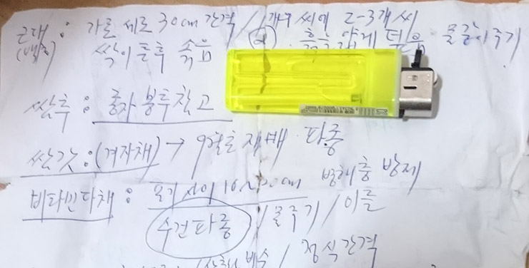 9월 파종 작물 노트 쌈갓 비타민 다채 등