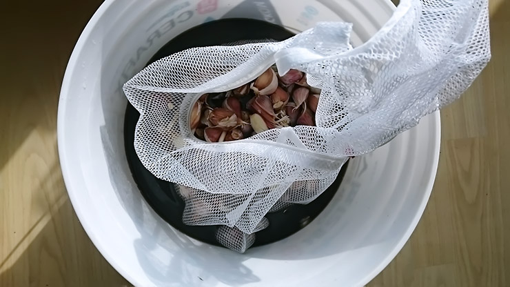 how-to-seed-garlic-04