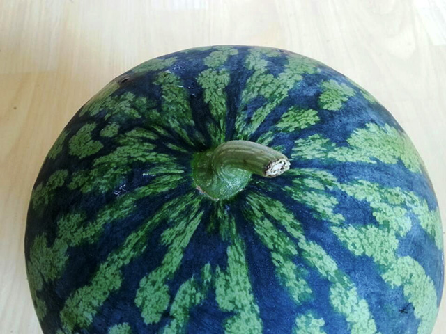 수박 꼭지 부분