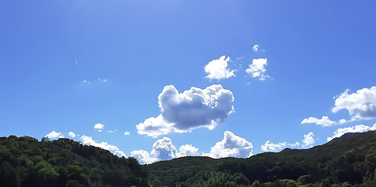 계절성 우울증이란? 