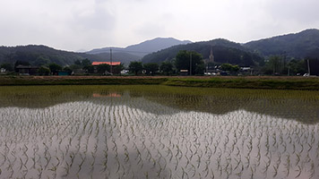 미국의 암호화폐 산업에 대한 스탠스와 전략